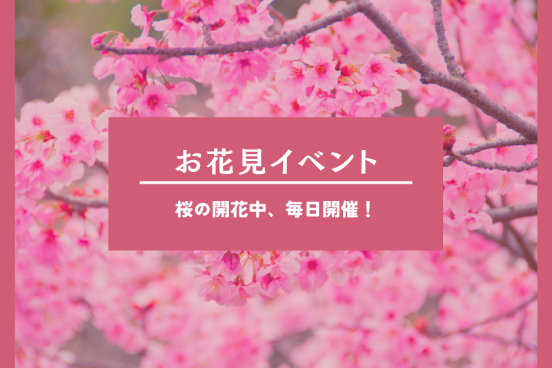 ヘミングウェイ大阪のお花見イベント