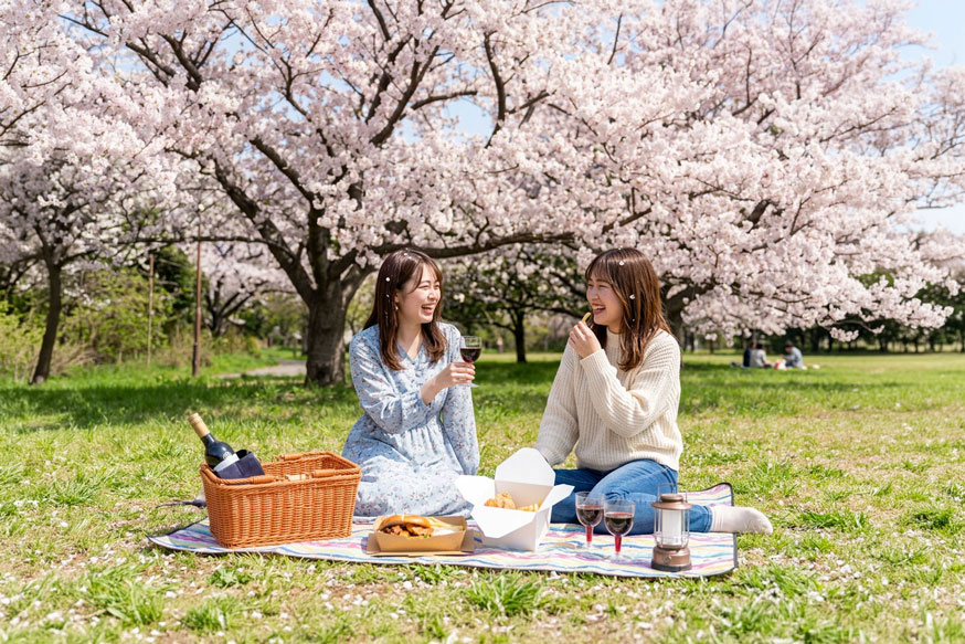 手ぶらでお花見プラン2026