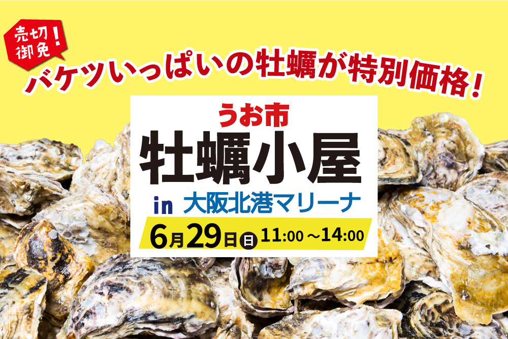 うお市